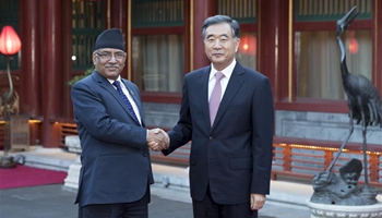 Chinese vice premier meets Nepal's PM in Beijing