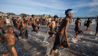 Traditional mud baths held in Bali