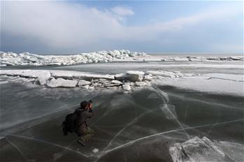 "Icy dragon" belt seen on Xingkai Lake in NE China