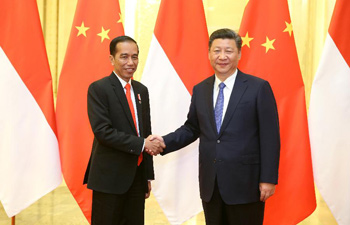 China, Indonesia agree to step up Belt and Road cooperation