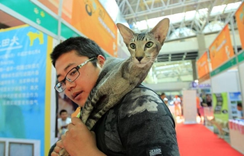2017 Western China Pet Industry Expo held in NW China's Yinchuan