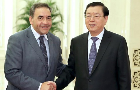 China's top legislator meets president of Chilean Chamber of Deputies