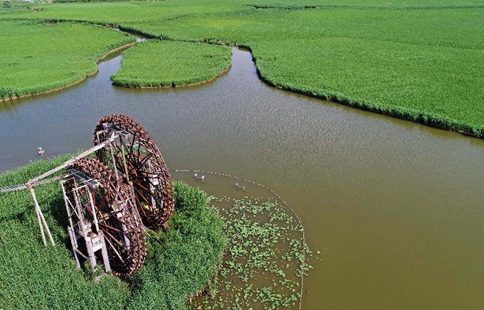 Protection and recovery of lakes and wetlands strengthened in NW China