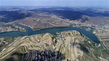 In pics: terrace fields in northwest China's Ningxia