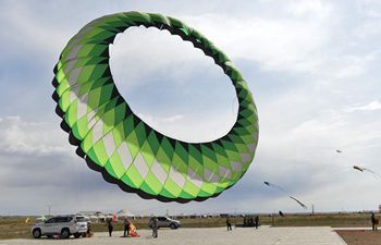 Kite contest held in Inner Mongolia