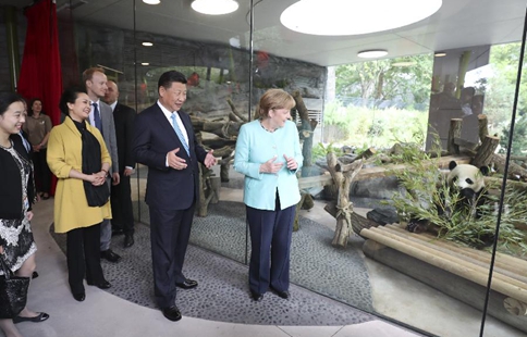 Xi, Merkel launch Panda garden in Berlin zoo