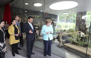 Xi, Merkel discuss pandas, trade, security ahead of G20 summit
