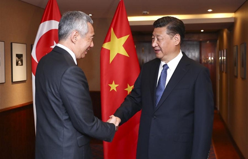 Xi urges mutual understanding with Singapore on core interests, 
major concerns