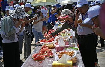 Total output of Xisha melon in NW China's Ningxia reaches 1.12 mln tonnes