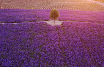 Bird's-eye view of sightseeing park in Yinchuan, NW China