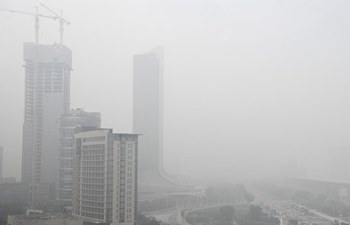 China's Yinchuan issues yellow alarm for fog