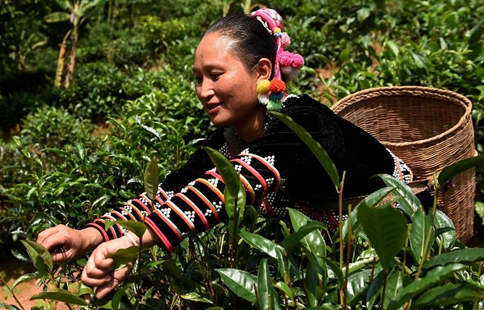 Poverty-stricken population decreases in SW China's city