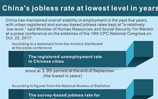 Graphics: China's jobless rate at low level in past 5 years