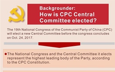 Graphics: how 19th CPC National Congress elects new Central Committee