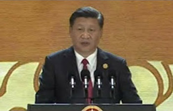Xi Jinping delivers speech at APEC CEO Summit