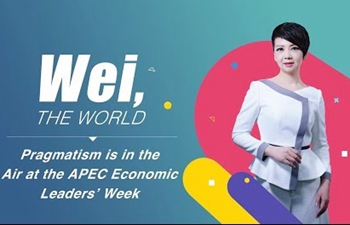 Wei, the World: Pragmatism is in the air at the APEC Economic Leaders’ Week
