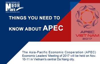 Infographic: Things you need to know about APEC