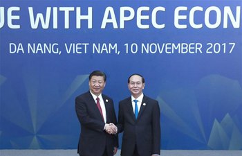 Xi attends dialogue with representatives of APEC Business Advisory Council in Vietnam