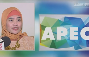 Indonesian expert: China to foster sustainable development among APEC members