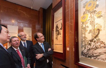 Cultures and generations in focus of new Chinese-Hungarian exhibition in Hungary