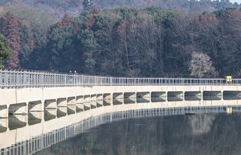 New network of greenway in Wuhan East Lake to open on Dec. 28