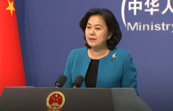 China refutes German ambassador's allegation on cyber security consultation