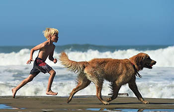 In pics: Americans in 2017