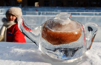 Ice sculptures attract crowds in Harbin