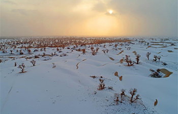 Snow falls on Taklimakan Desert in NW China's Xinjiang