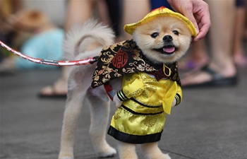 Singapore's Chinatown holds dog costume competition to greet Chinese New Year