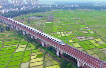 Bullet trains seen above field of cole flowers across China