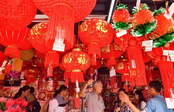 Celebrations held to welcome upcoming Chinese Lunar New Year