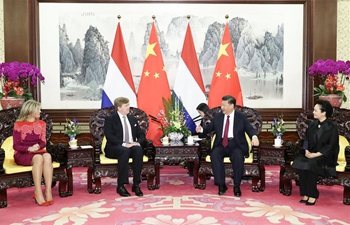 Chinese president meets Dutch king, calls for closer cooperation on B&R construction