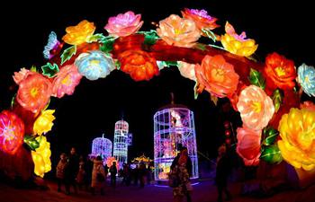 Lantern fair greeting Spring Festival kicks off in NW China