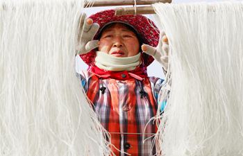 Farmers busy processing vermicelli as Spring Festival approaches