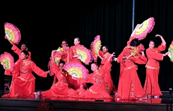 American students perform to celebrate Chinese New Year in Washington D.C.