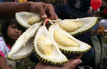 Durian feast held in East Java, Indonesia