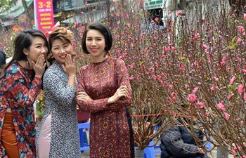 Lunar New Year festival celebrated in Hanoi, Vietnam
