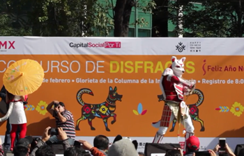 Mexico City celebrates Chinese New Year with costume contest