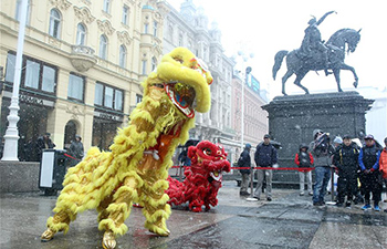 Lion dance performed in Zagreb, Croatia