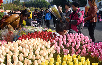 People select flowers to greet upcoming Spring Festival in Guangzhou