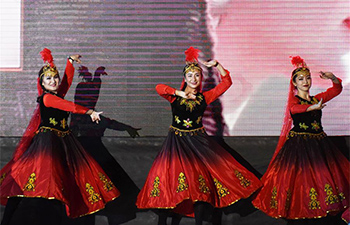 Gala show brings joy, harmony of Chinese New Year to Istanbul campus