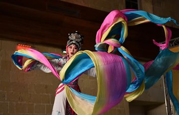 Artists perform in Malta to celebrate Chinese New Year