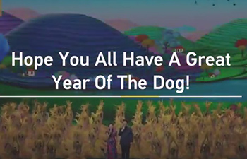 Highlights of the Spring Festival Gala 2018