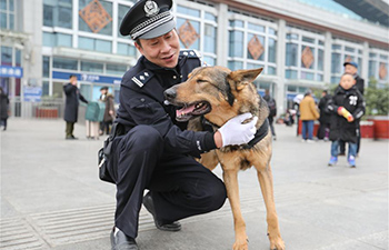 Spring Festival travel rush: busiest time for police dog "Long Ya"