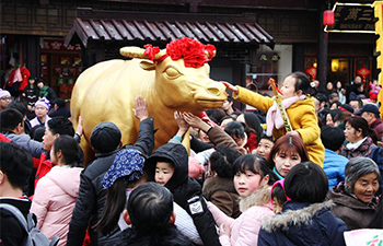 China brimming with festive atmosphere as Lunar New Year comes