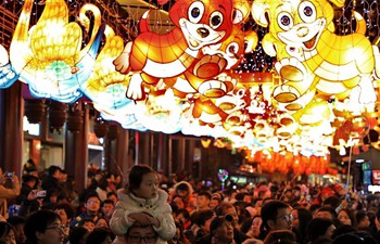 Chinese people enjoy week-long holiday for Spring Festival