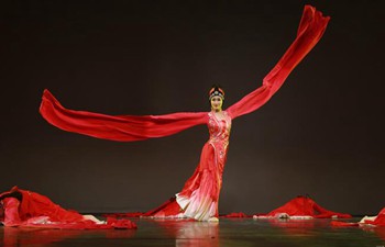 2018 Spring Festival Gala held in Dublin to greet Chinese New Year