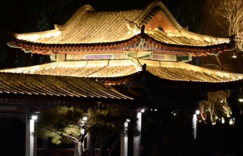 E China scenic spot lights up new year