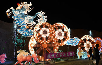 Light show held to mark lunar New Year in Inner Mongolia